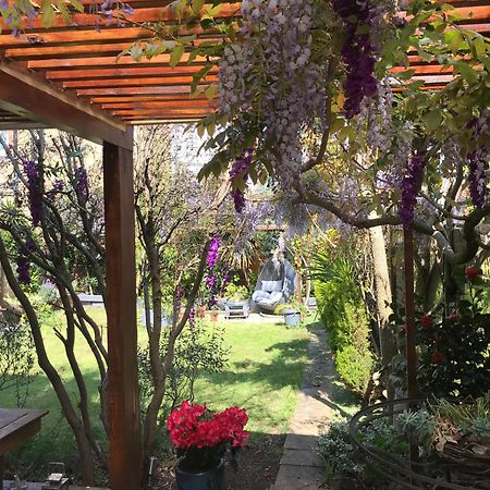 Londonhomegardens Εξωτερικό φωτογραφία