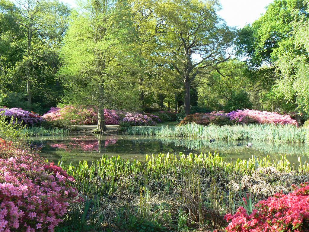 Londonhomegardens Εξωτερικό φωτογραφία